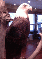 Visitor Centre Photo Gallery