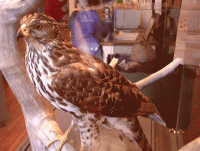 Visitor Centre Photo Gallery